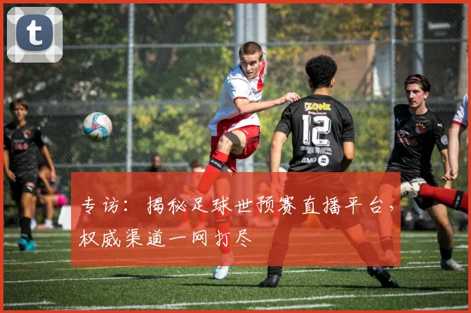 专访：揭秘足球世预赛直播平台，权威渠道一网打尽