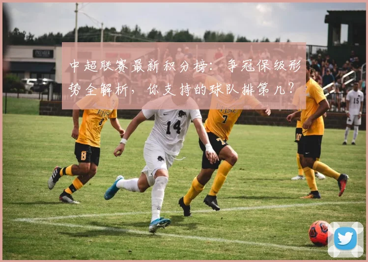 中超联赛最新积分榜：争冠保级形势全解析，你支持的球队排第几？