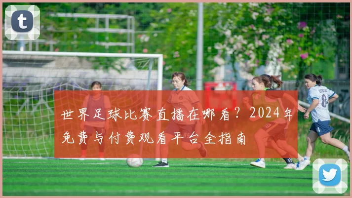 世界足球比赛直播在哪看？2024年免费与付费观看平台全指南