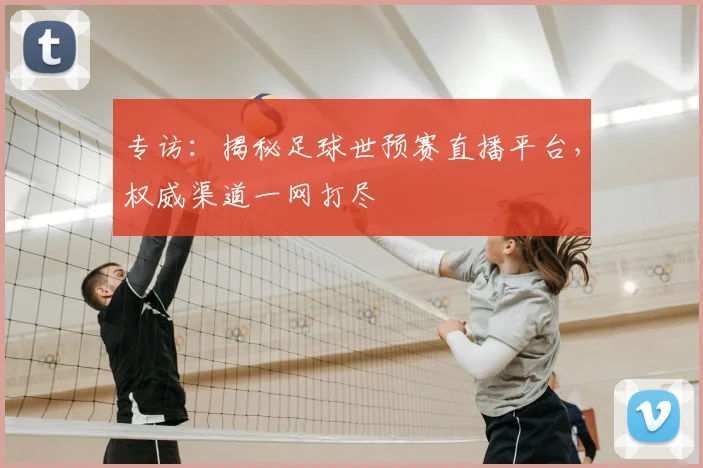 专访：揭秘足球世预赛直播平台，权威渠道一网打尽